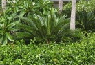 Point Turtontropical-landscaping-4.jpg; ?>