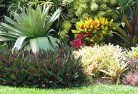 Point Turtontropical-landscaping-9.jpg; ?>